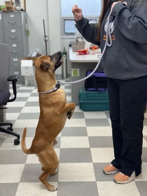 Ice Cream thumbnail 3