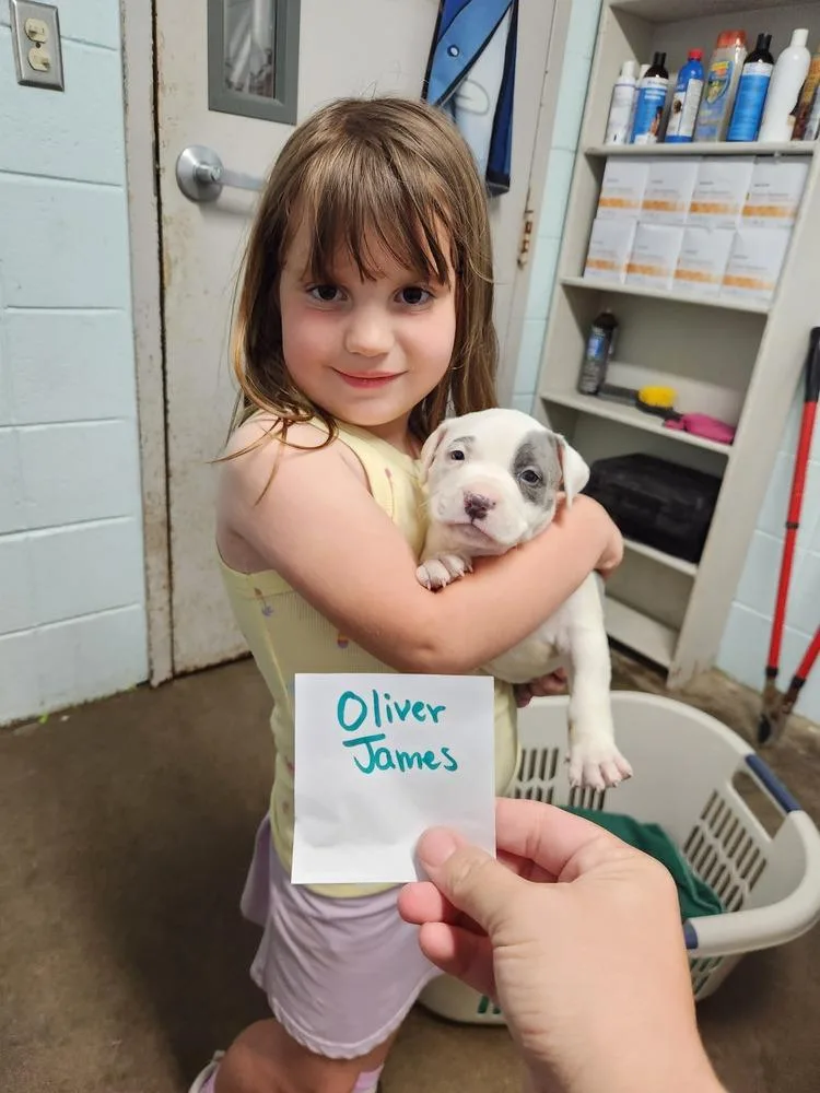 Oliver James A thumbnail 5