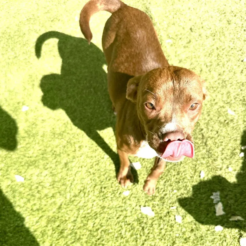 Sprocket thumbnail 2