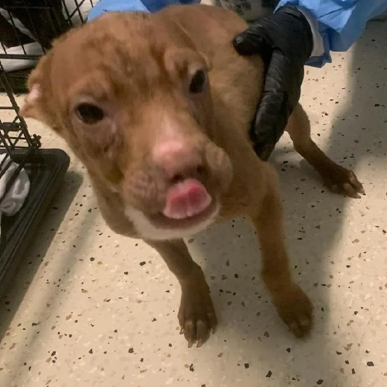 Sprocket thumbnail 3