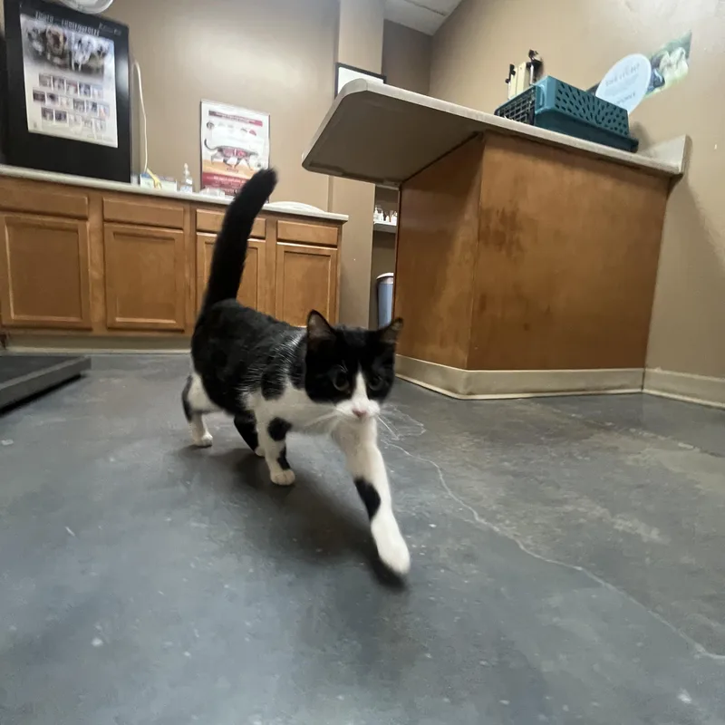 Josie Geller thumbnail 3