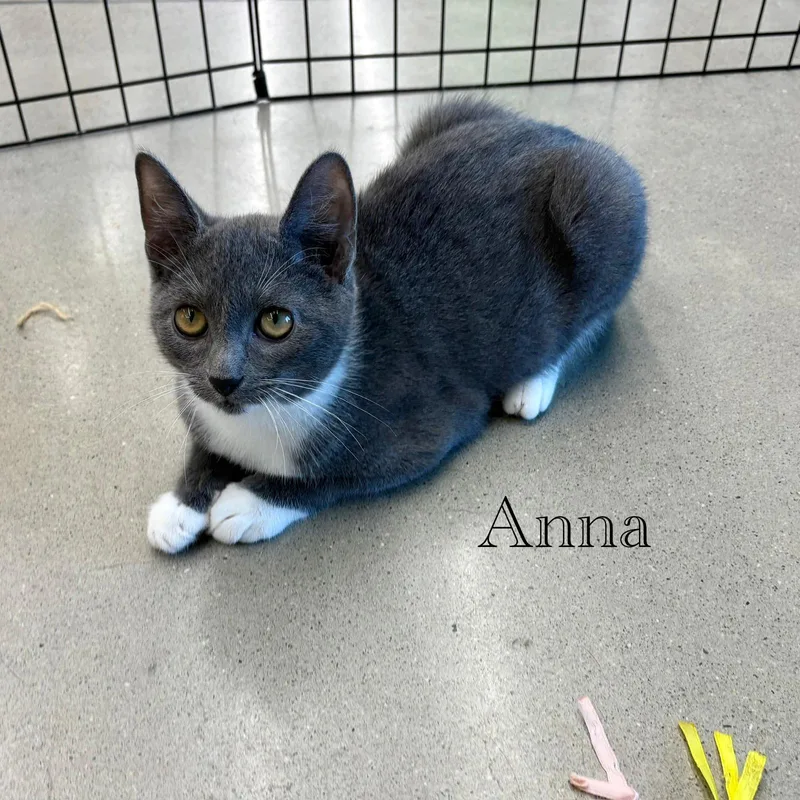 Anna thumbnail 2
