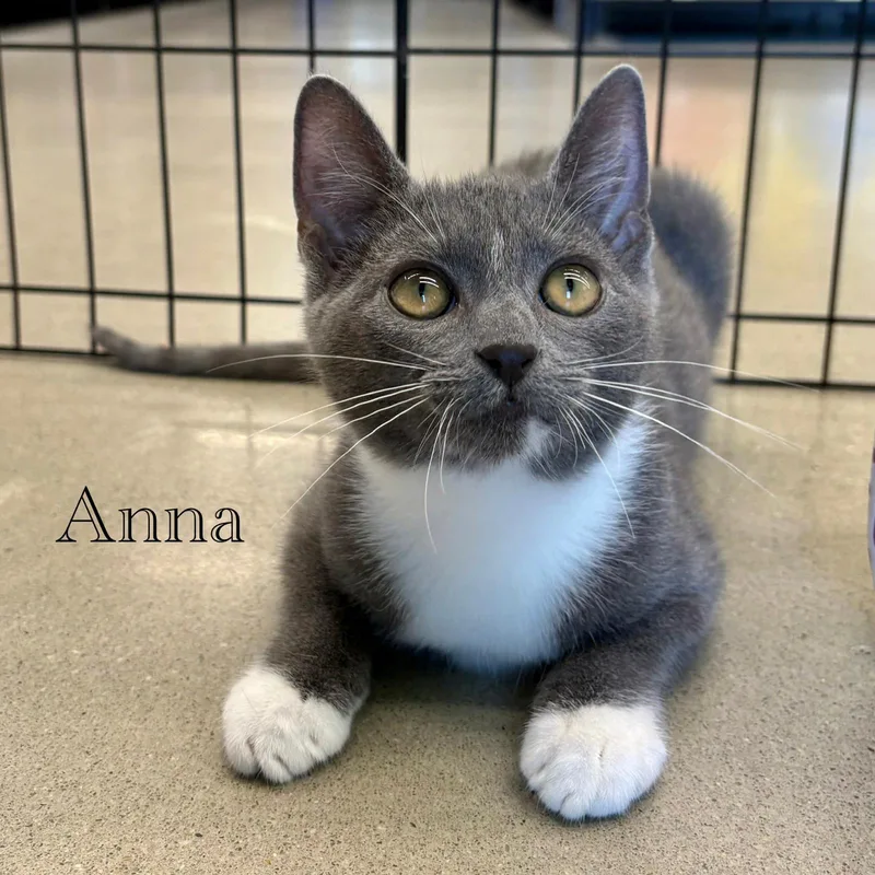 Anna thumbnail 3