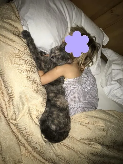 Tom And Moppet thumbnail 2