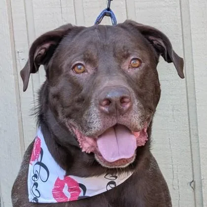 Oakley Bear thumbnail 2