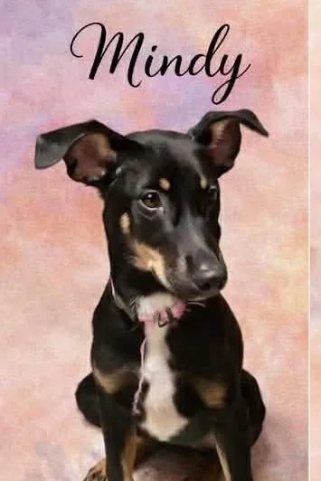 Mindy