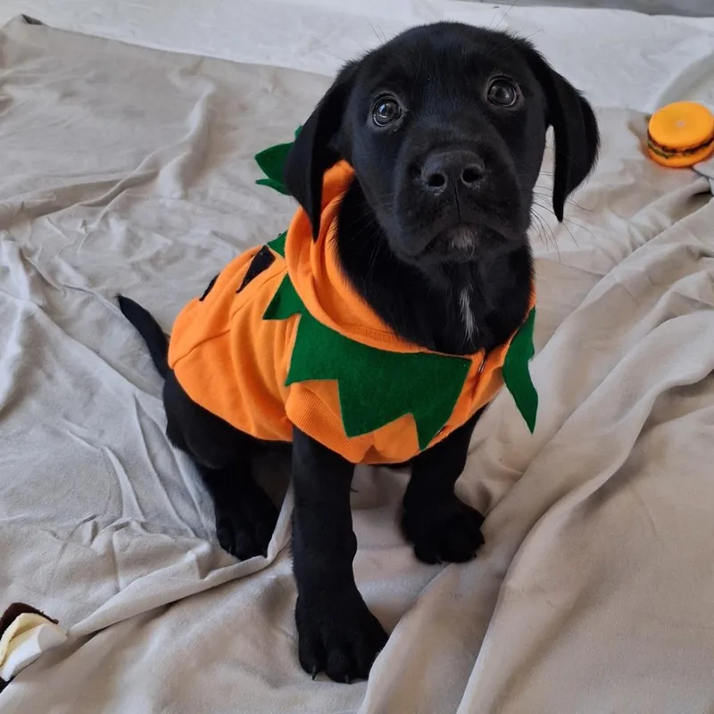 Bayou thumbnail 3