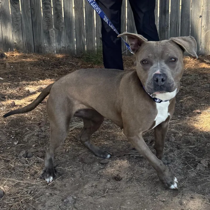 Fwt Rosie thumbnail 2