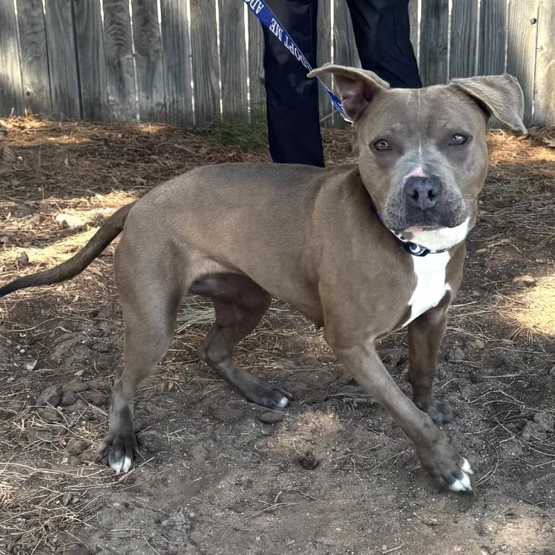 Fwt Rosie thumbnail 3