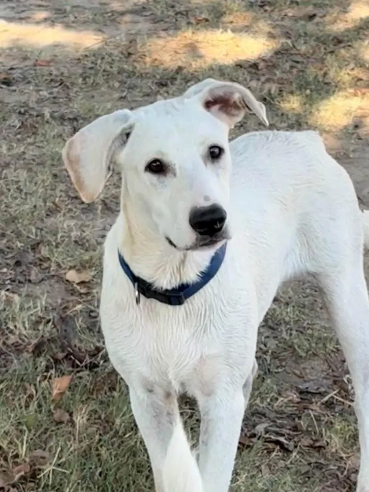 Casper thumbnail 2