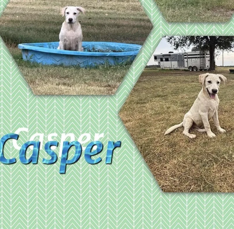 Casper thumbnail 3