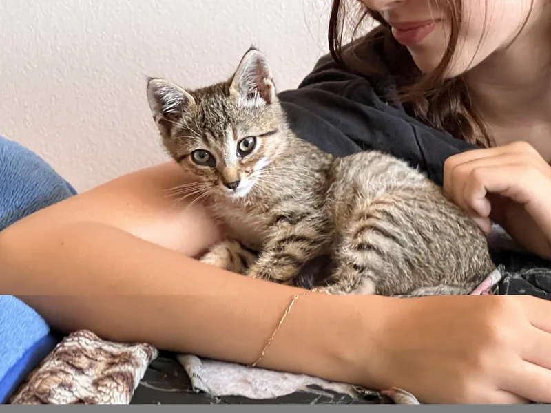Frankie thumbnail 3