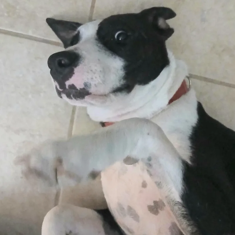 Freckle Face thumbnail 2