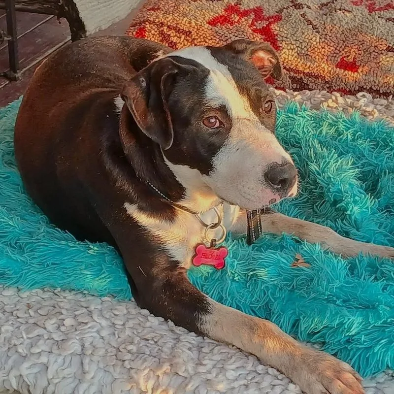 Freckle Face thumbnail 4