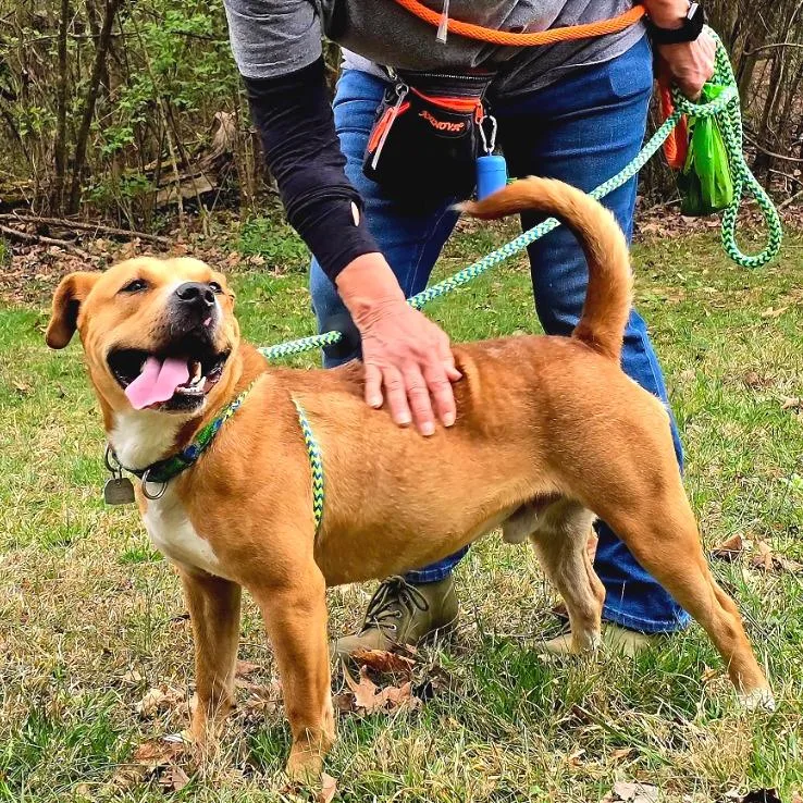 Tralalero Tralala thumbnail 3