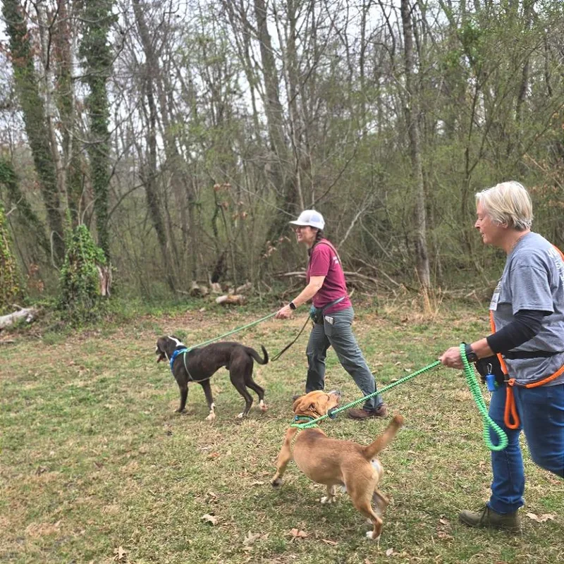 Tralalero Tralala thumbnail 5