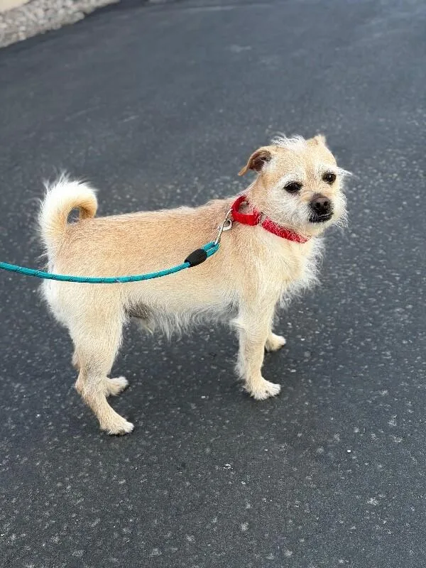 Siegfried thumbnail 4