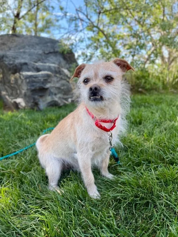 Siegfried thumbnail 5