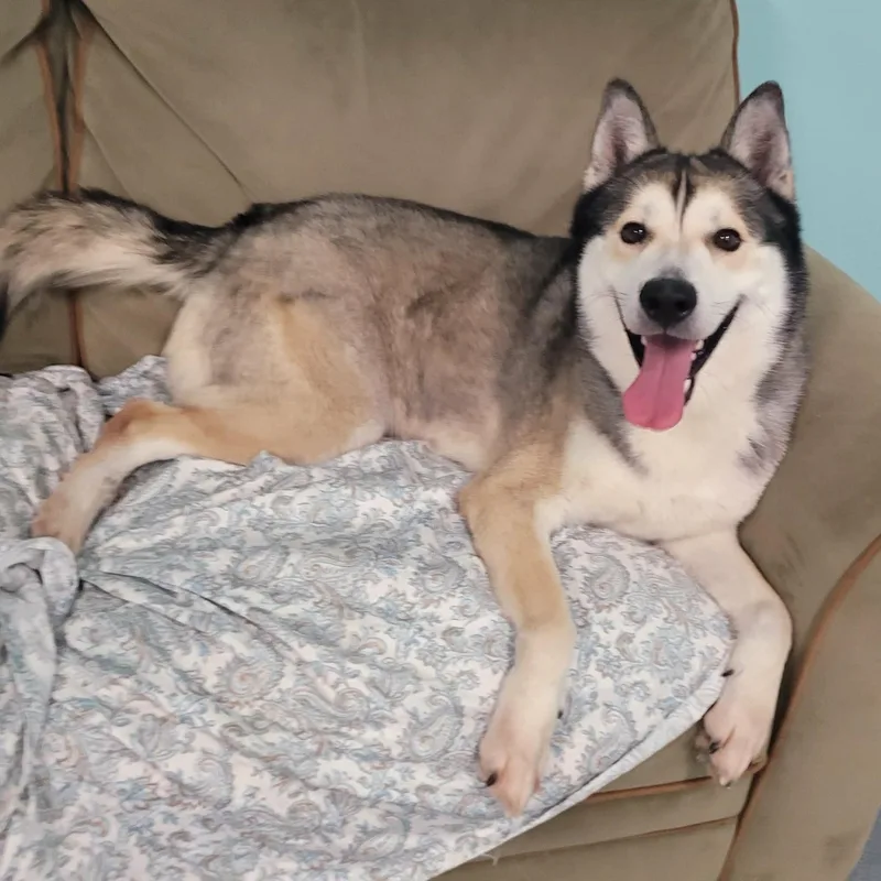 Conroy! Gorgeous Boy! thumbnail 5