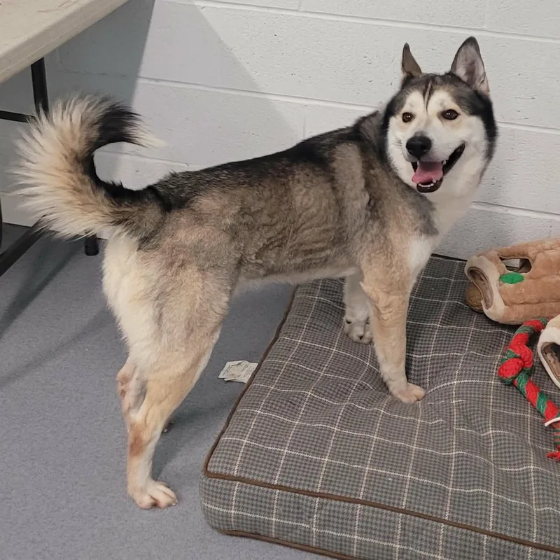 Conroy! Gorgeous Boy! thumbnail 6