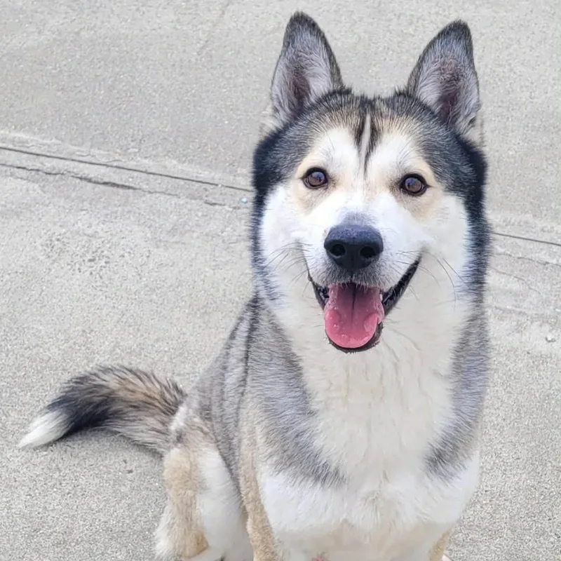 Conroy! Gorgeous Boy!