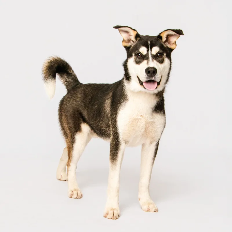 Nintendo thumbnail 2