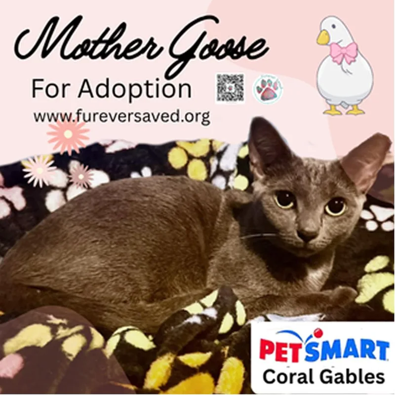 Mother Goose thumbnail 2