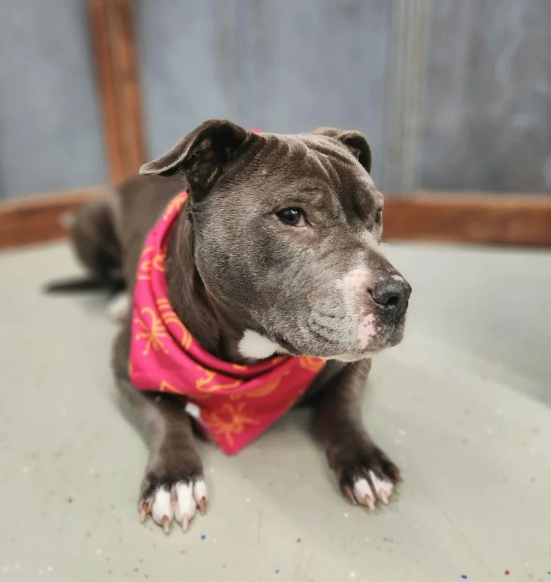 Nina Aka Lil Hippo thumbnail 2