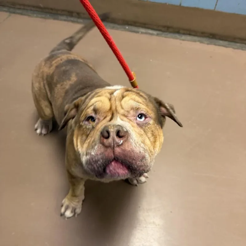 Plumber John thumbnail 2