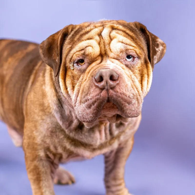 Plumber John thumbnail 3