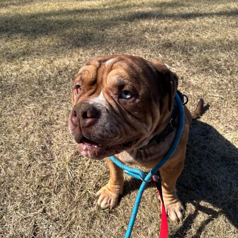 Plumber John thumbnail 4