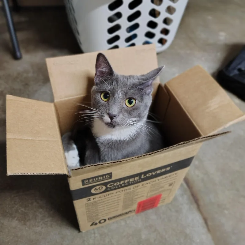 Charlotte thumbnail 5