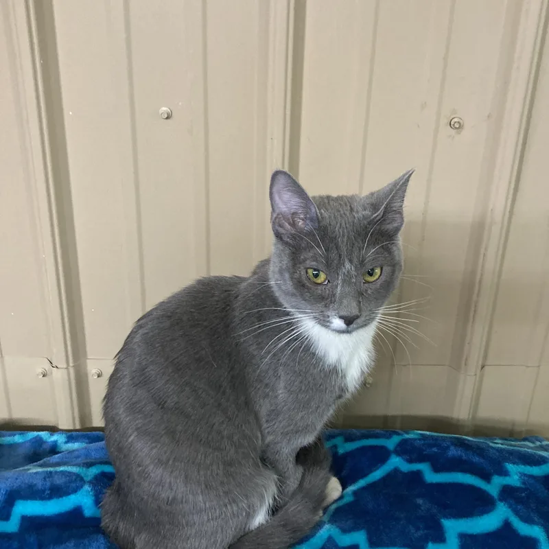 Charlotte thumbnail 6