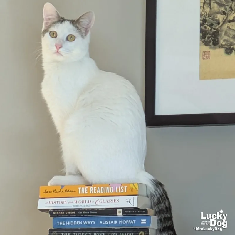 Bittie Casper thumbnail 2