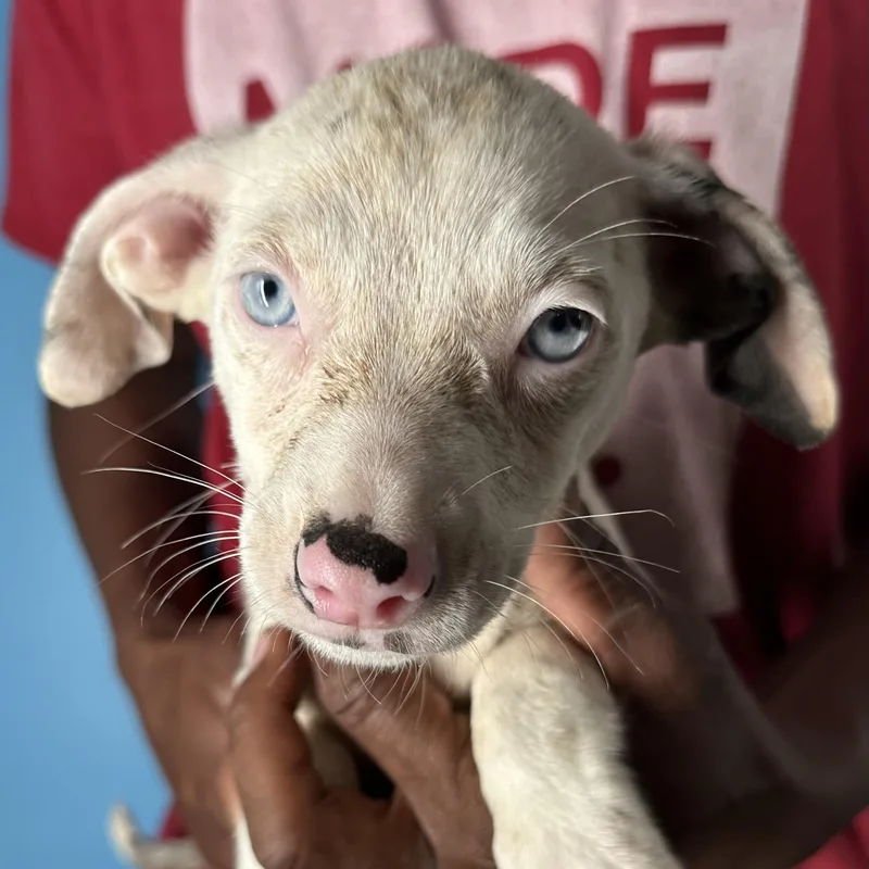 Izzy  Local April thumbnail 2