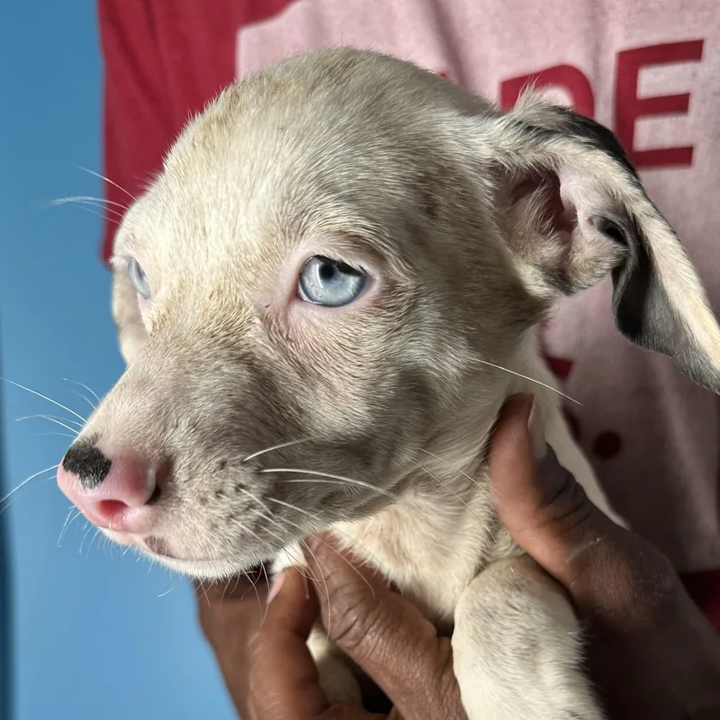 Izzy  Local April thumbnail 3