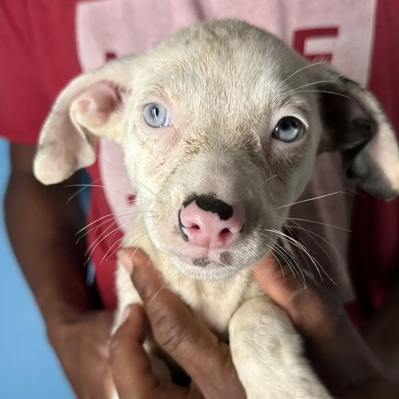 Izzy  Local April thumbnail 4