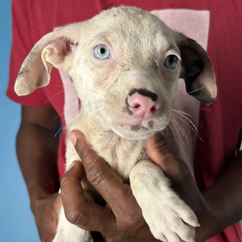 Izzy  Local April thumbnail 5