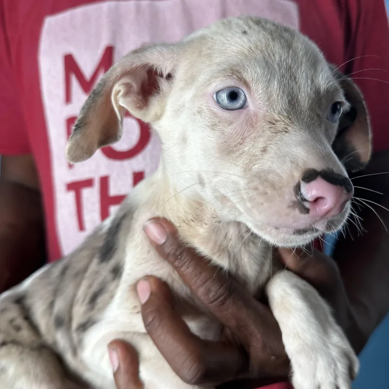 Izzy  Local April thumbnail 6