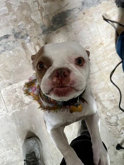 Clyde & Rocky thumbnail 2