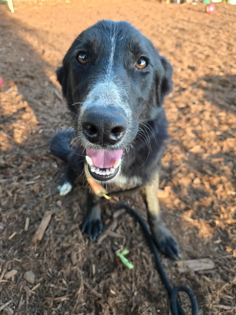 Juno
