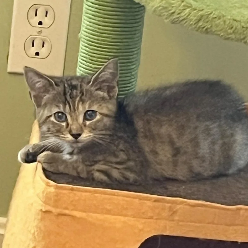 Mm Sasha thumbnail 2