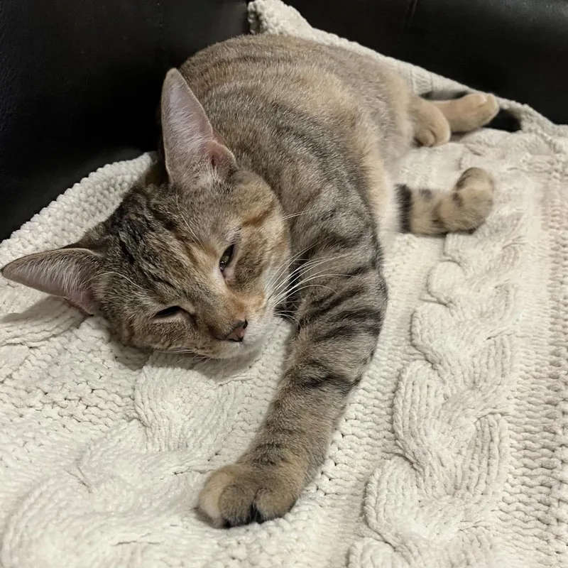 Mm Sasha thumbnail 3