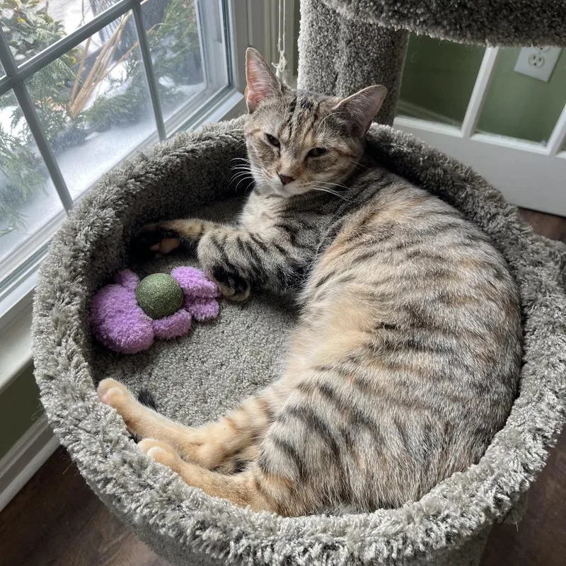 Mm Sasha thumbnail 4