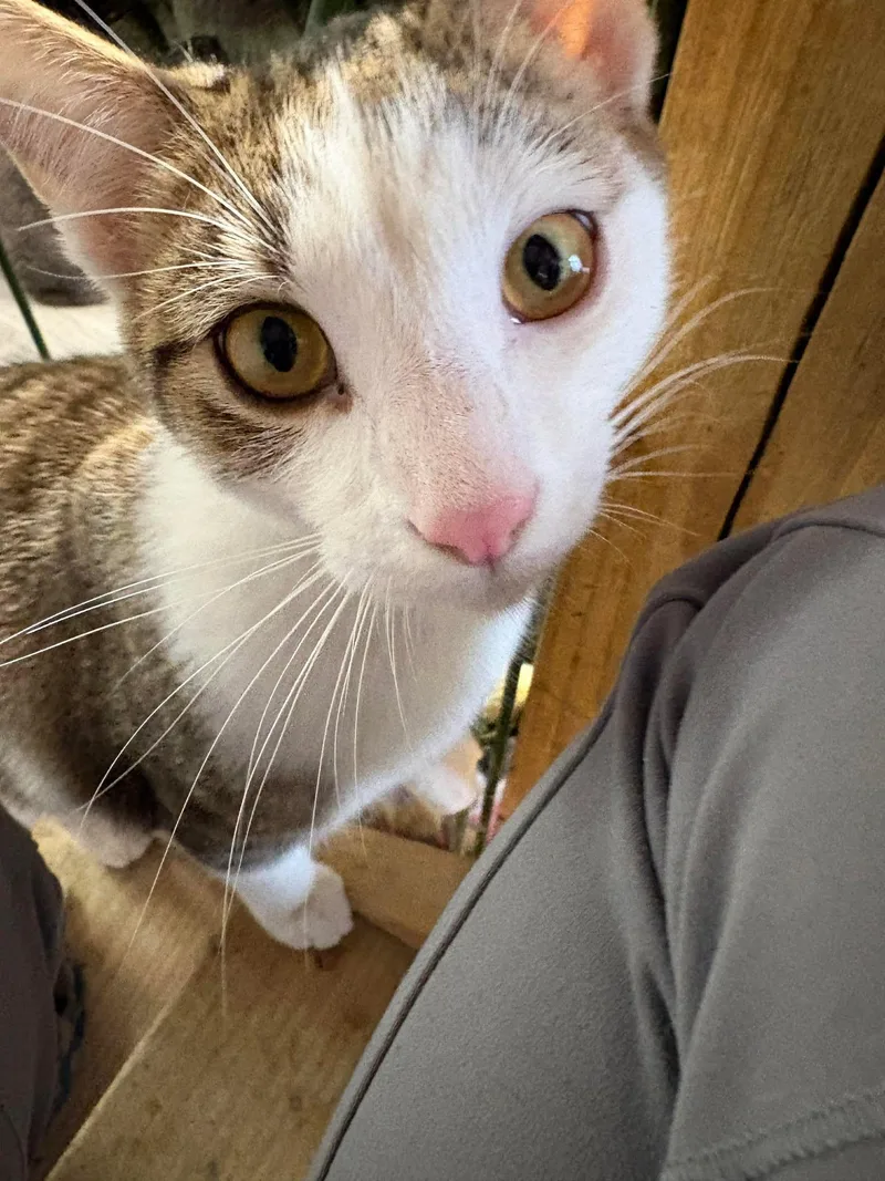 Skittles Doright Jones