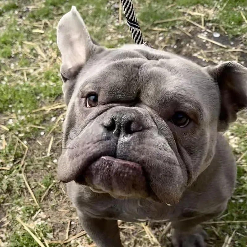 Stumps ~ Coming Soon!!! thumbnail 2