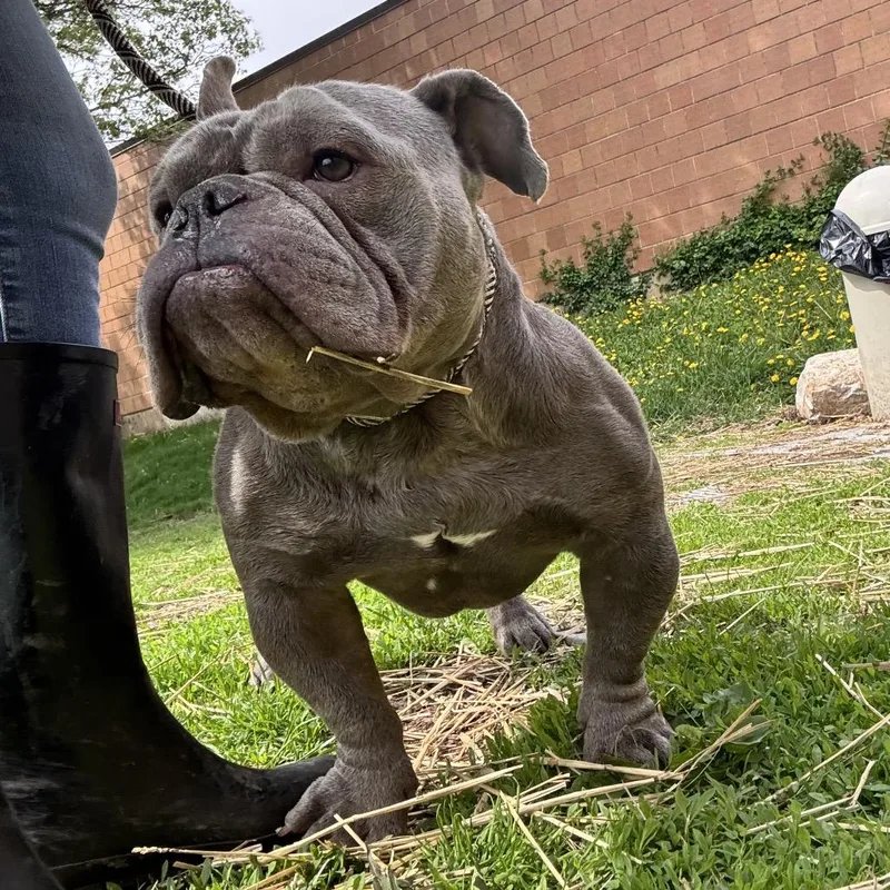 Stumps ~ Coming Soon!!! thumbnail 3