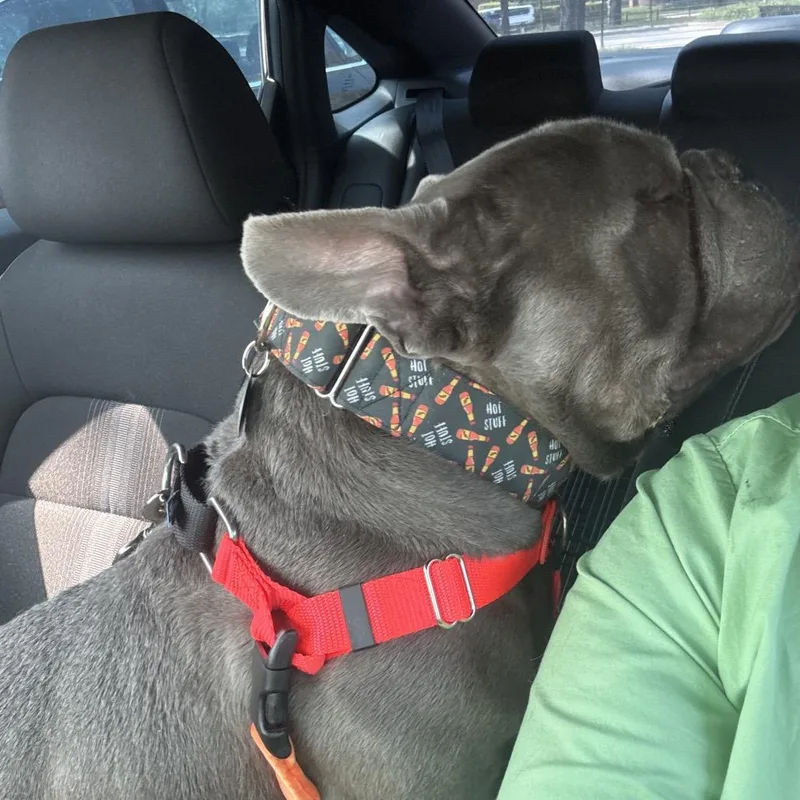 Stumps ~ Coming Soon!!! thumbnail 4