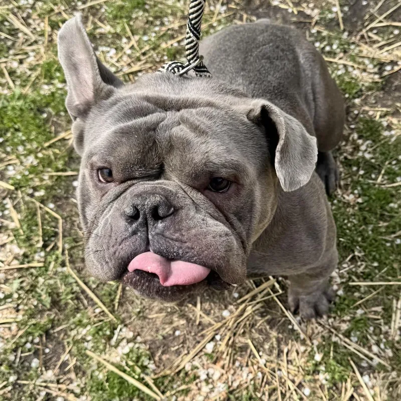 Stumps ~ Coming Soon!!! thumbnail 5