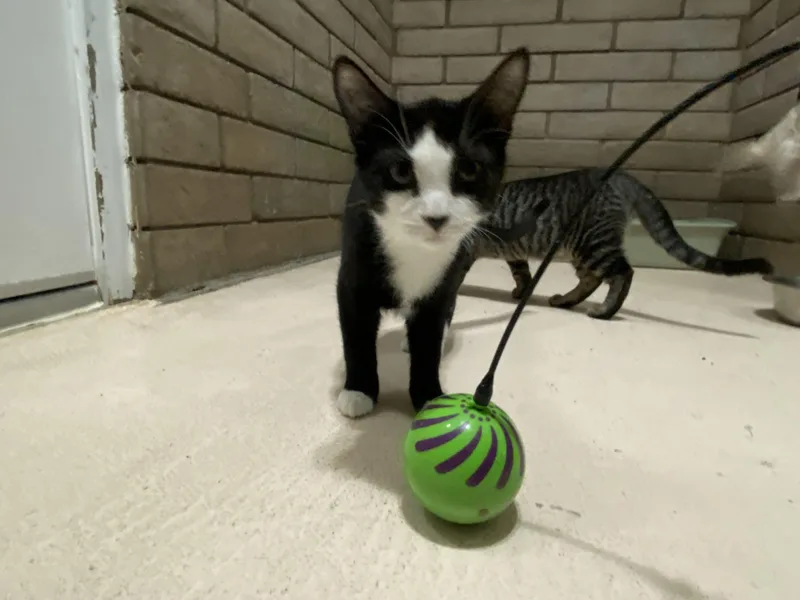 Avery thumbnail 6